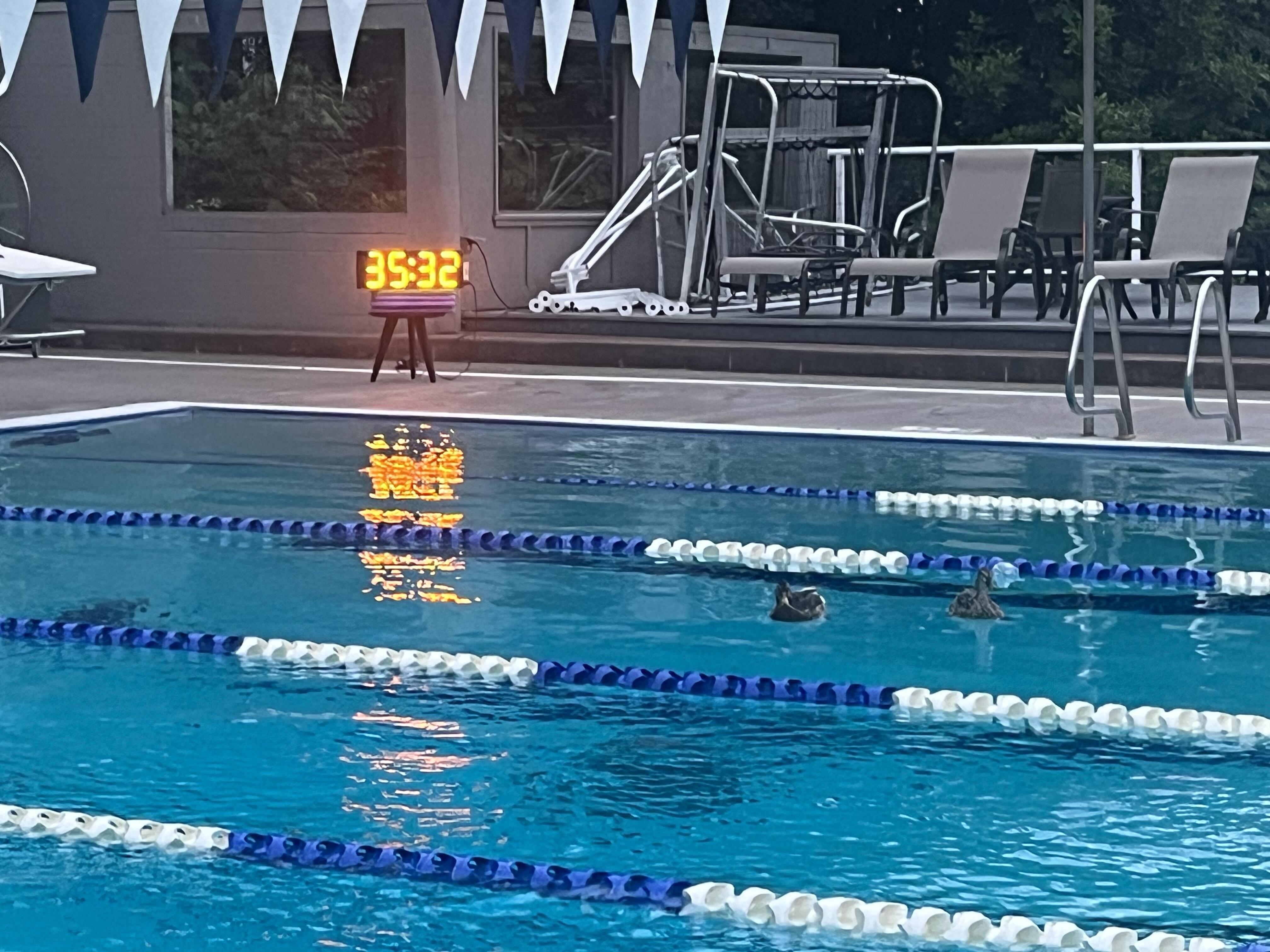 Sunrise reflecting on Mercerwood Shore Club pool